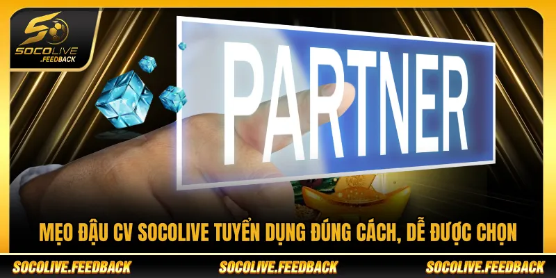 Socolive Tuyển Dụng - Cơ Hội Việc Làm Bóng Đá Online Mẹo chuẩn bị CV Socolive tuyển dụng đúng cách